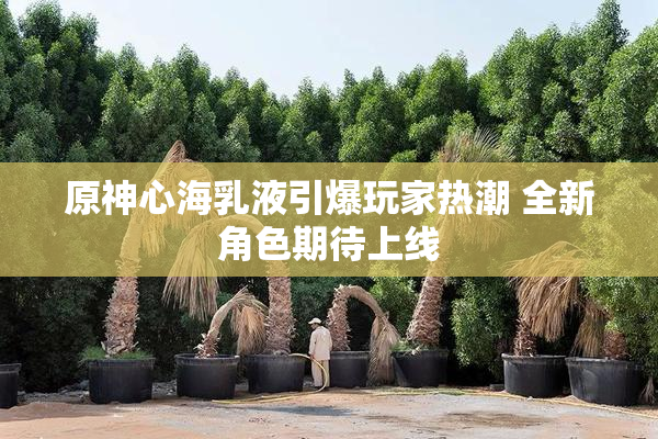 原神心海乳液引爆玩家热潮 全新角色期待上线