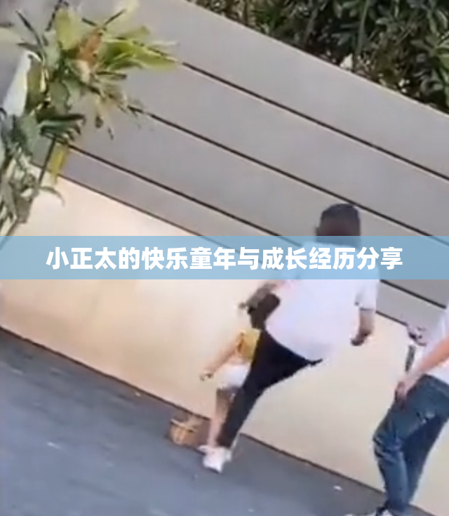 小正太的快乐童年与成长经历分享
