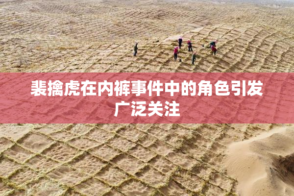 裴擒虎在内裤事件中的角色引发广泛关注