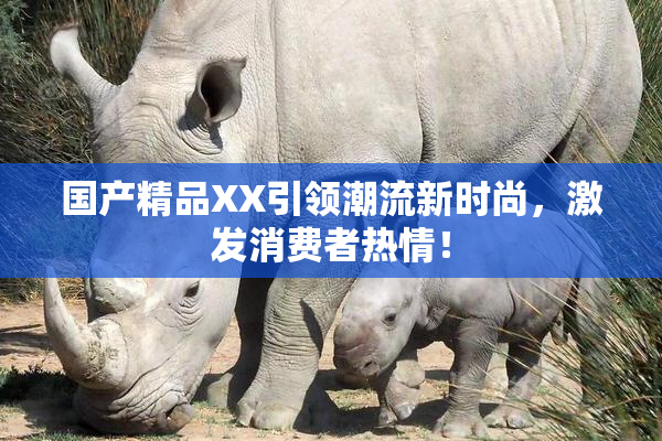 国产精品XX引领潮流新时尚，激发消费者热情！