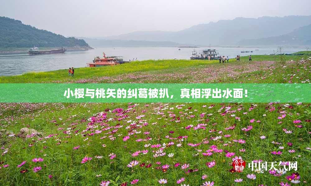 小樱与桃矢的纠葛被扒，真相浮出水面！