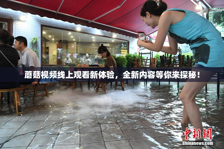 蘑菇视频线上观看新体验，全新内容等你来探秘！