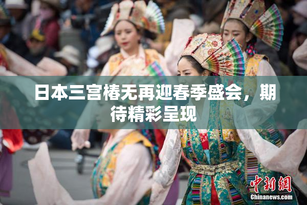 日本三宫椿无再迎春季盛会，期待精彩呈现