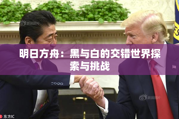 明日方舟：黑与白的交错世界探索与挑战