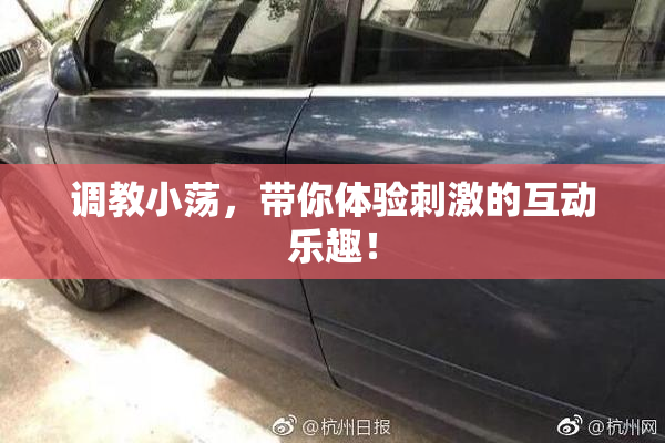 调教小荡，带你体验刺激的互动乐趣！