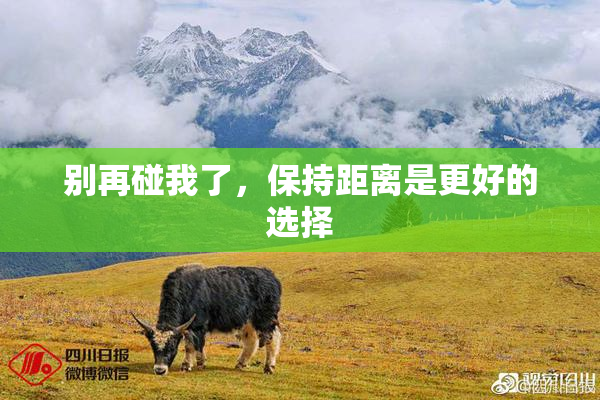 别再碰我了，保持距离是更好的选择