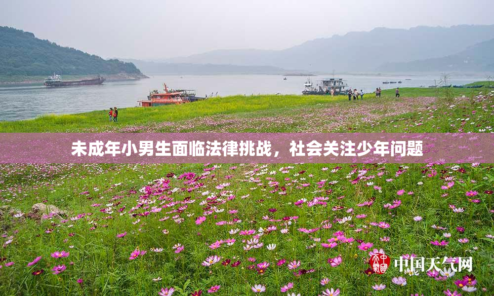 未成年小男生面临法律挑战，社会关注少年问题