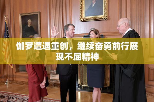 伽罗遭遇重创，继续奋勇前行展现不屈精神