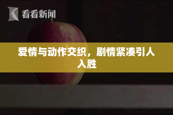 爱情与动作交织，剧情紧凑引人入胜