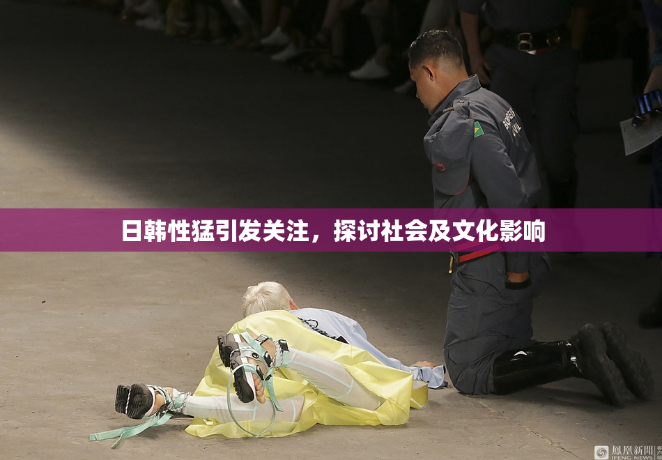 日韩性猛引发关注，探讨社会及文化影响
