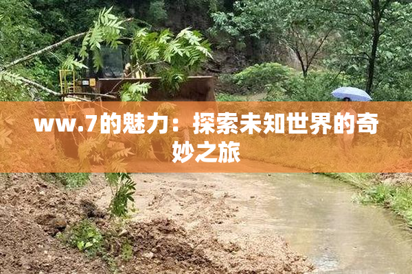 ww.7的魅力：探索未知世界的奇妙之旅