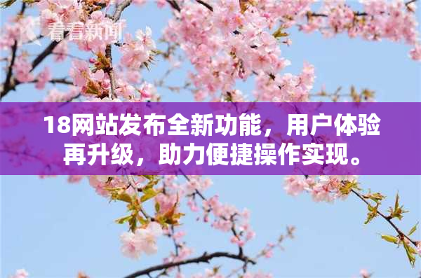 18网站发布全新功能，用户体验再升级，助力便捷操作实现。