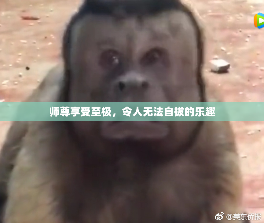 师尊享受至极，令人无法自拔的乐趣