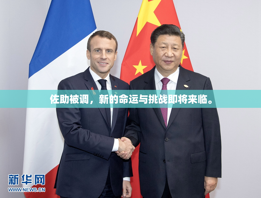 佐助被调，新的命运与挑战即将来临。