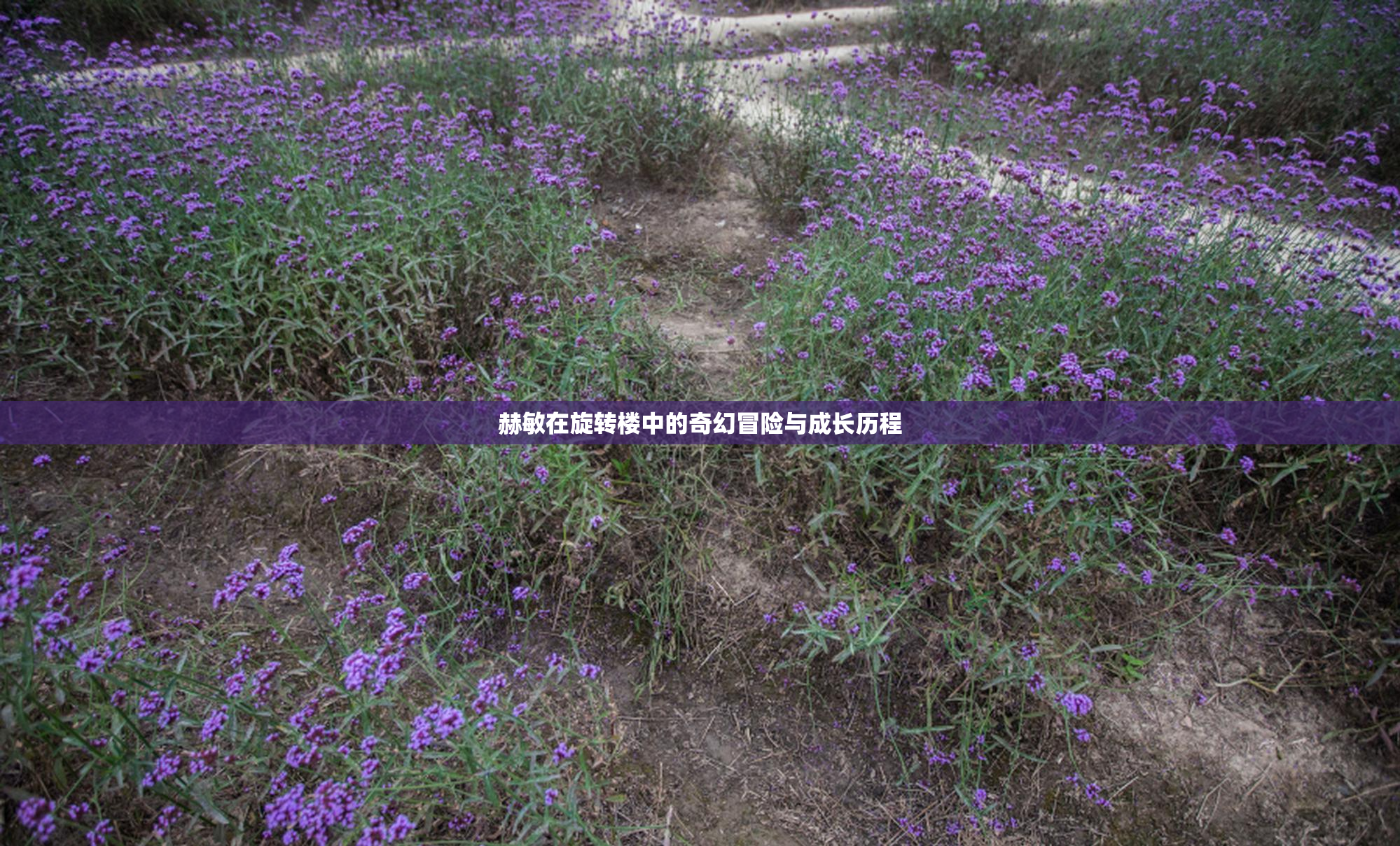 赫敏在旋转楼中的奇幻冒险与成长历程