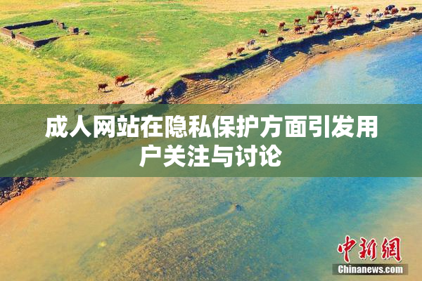 成人网站在隐私保护方面引发用户关注与讨论