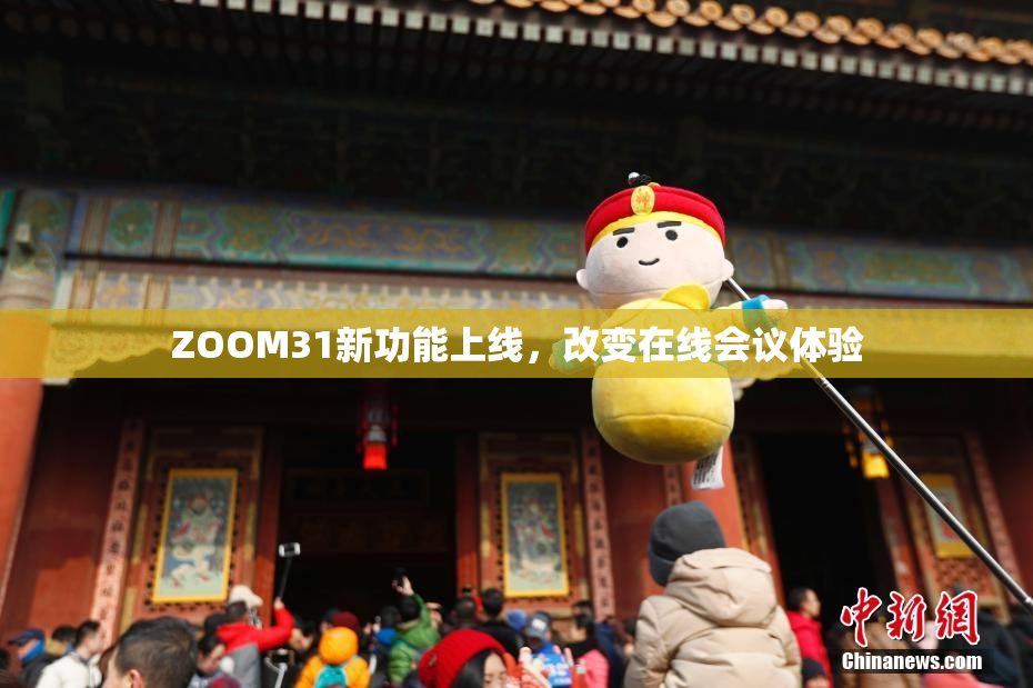 ZOOM31新功能上线，改变在线会议体验