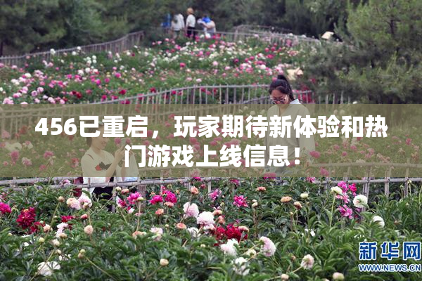 456已重启，玩家期待新体验和热门游戏上线信息！