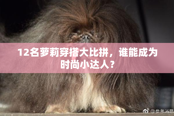 12名萝莉穿搭大比拼，谁能成为时尚小达人？