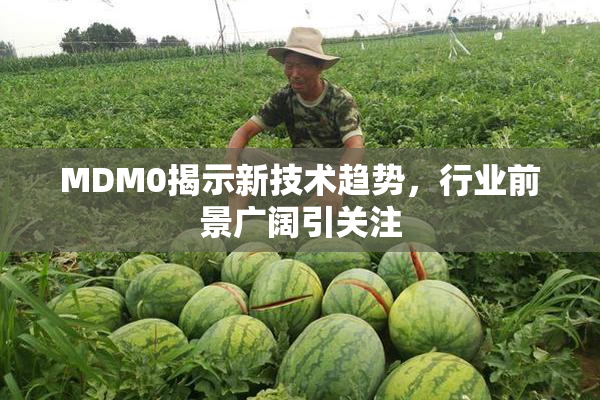MDM0揭示新技术趋势，行业前景广阔引关注