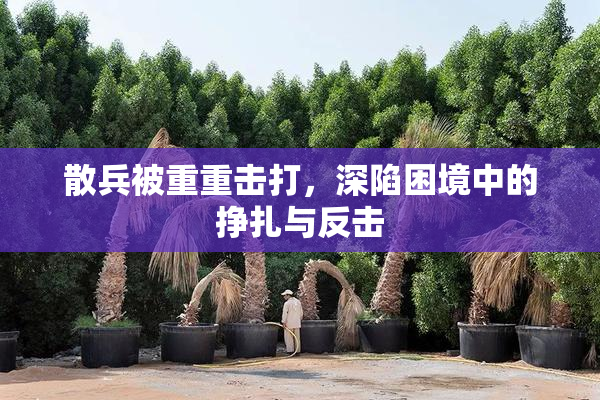 散兵被重重击打，深陷困境中的挣扎与反击