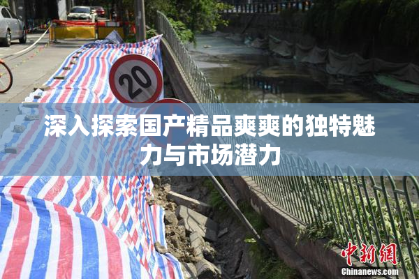 深入探索国产精品爽爽的独特魅力与市场潜力