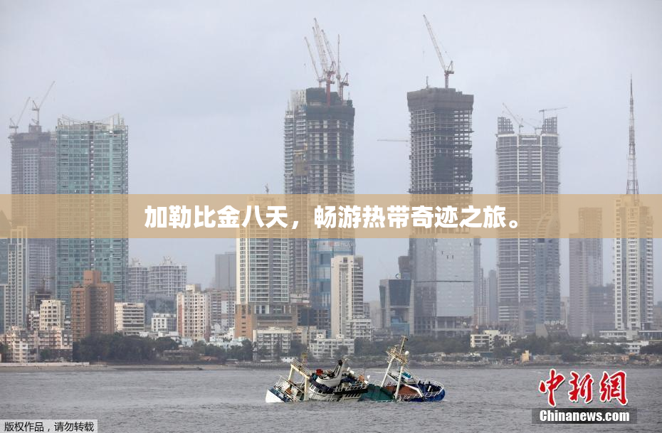 加勒比金八天，畅游热带奇迹之旅。