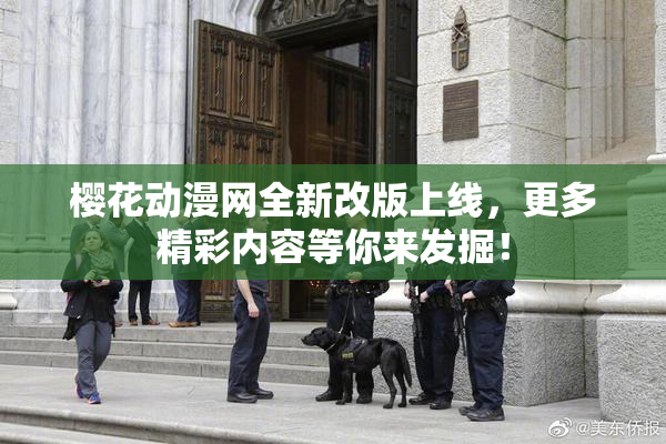 樱花动漫网全新改版上线，更多精彩内容等你来发掘！