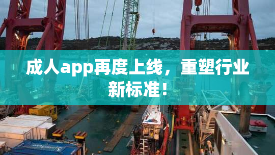 成人app再度上线，重塑行业新标准！