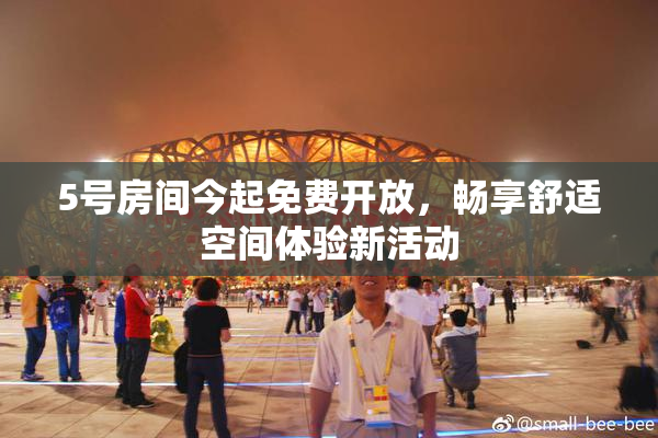 5号房间今起免费开放，畅享舒适空间体验新活动