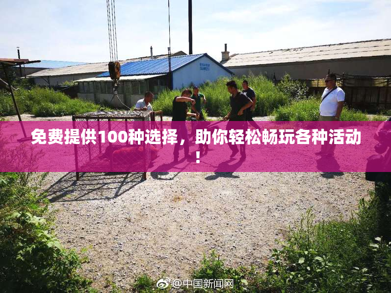 免费提供100种选择，助你轻松畅玩各种活动！