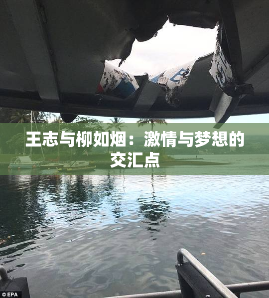 王志与柳如烟：激情与梦想的交汇点