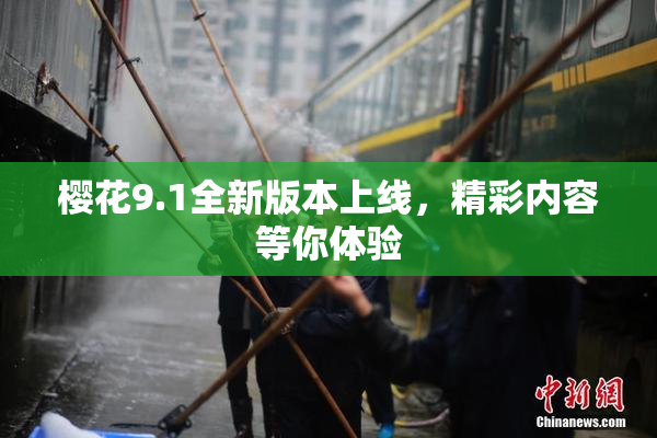 樱花9.1全新版本上线，精彩内容等你体验