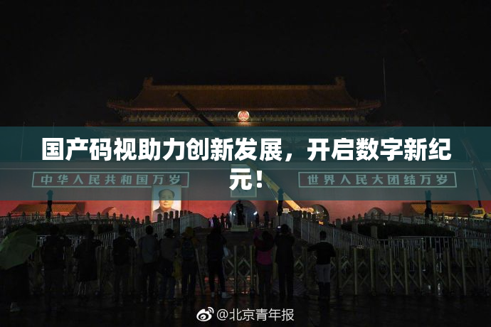 国产码视助力创新发展，开启数字新纪元！