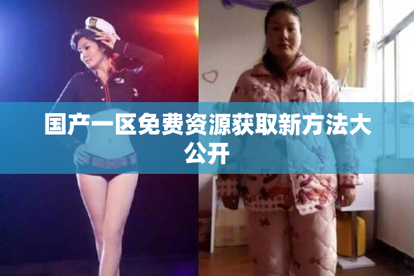国产一区免费资源获取新方法大公开