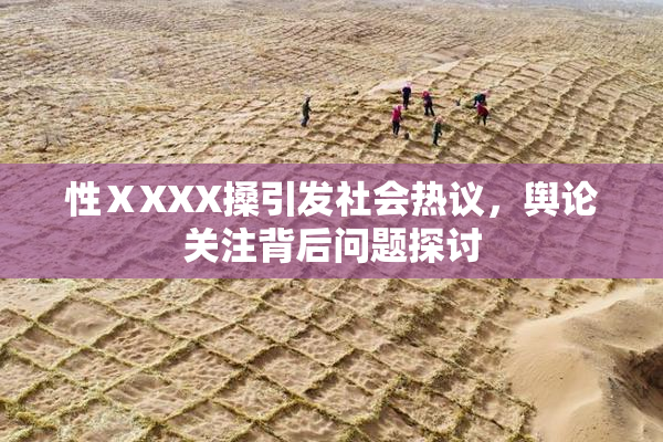 性ⅩXXX搡引发社会热议，舆论关注背后问题探讨