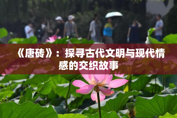 《唐砖》：探寻古代文明与现代情感的交织故事