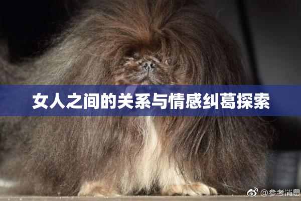 女人之间的关系与情感纠葛探索