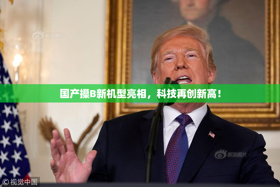 国产搡B新机型亮相，科技再创新高！