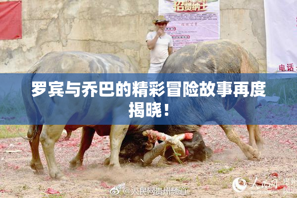 罗宾与乔巴的精彩冒险故事再度揭晓！