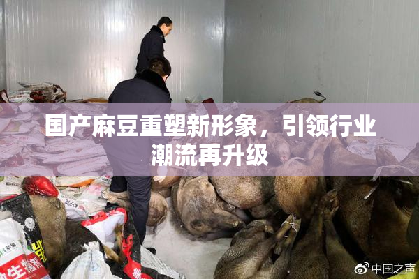 国产麻豆重塑新形象，引领行业潮流再升级