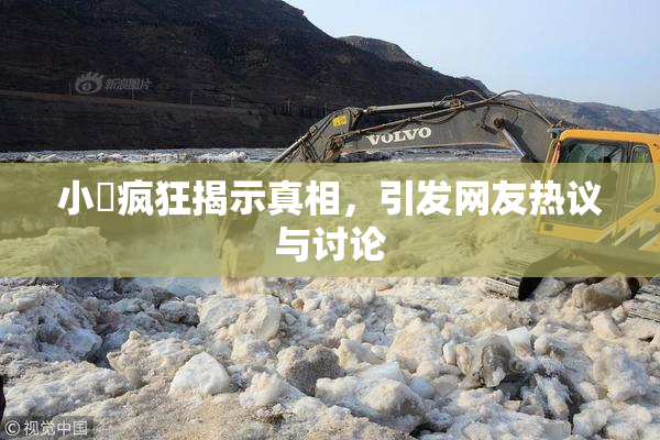 小泬疯狂揭示真相，引发网友热议与讨论