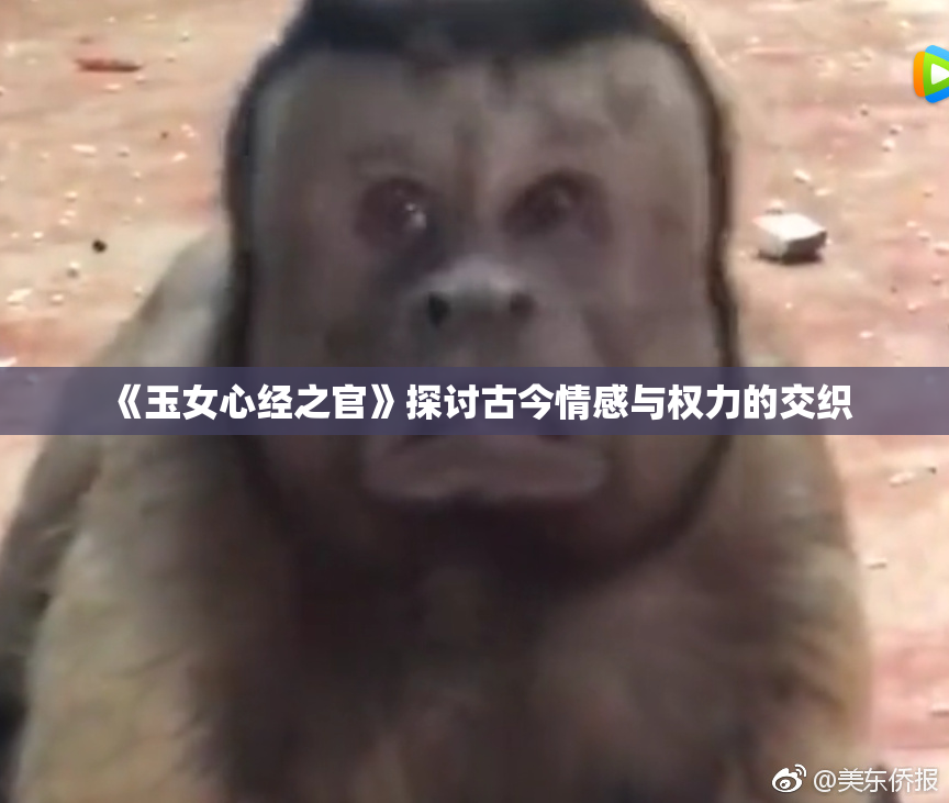 《玉女心经之官》探讨古今情感与权力的交织