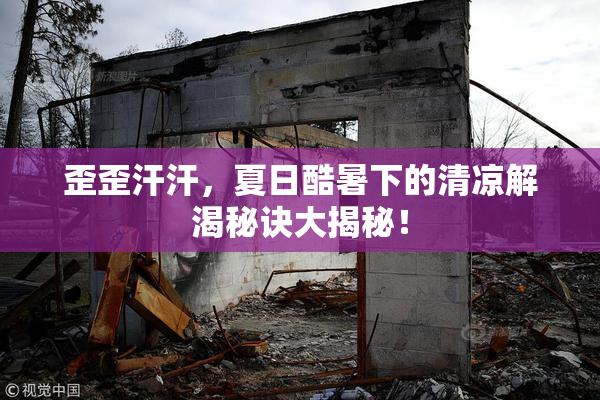 歪歪汗汗，夏日酷暑下的清凉解渴秘诀大揭秘！