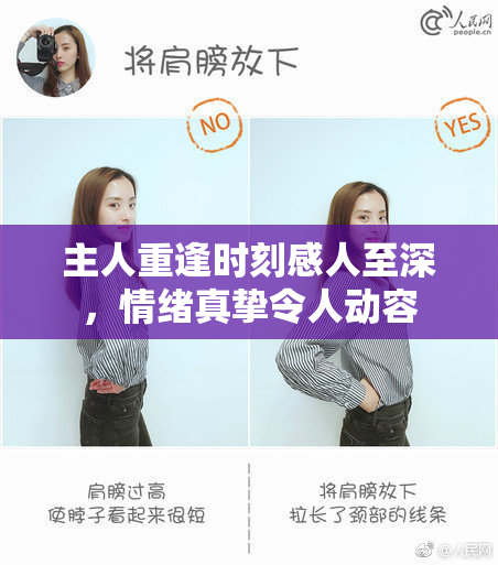 主人重逢时刻感人至深，情绪真挚令人动容