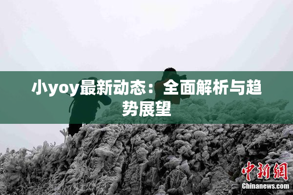 小yoy最新动态：全面解析与趋势展望