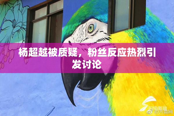杨超越被质疑，粉丝反应热烈引发讨论