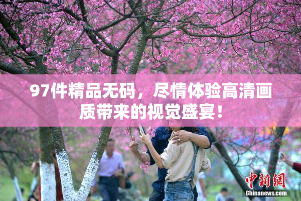 97件精品无码，尽情体验高清画质带来的视觉盛宴！