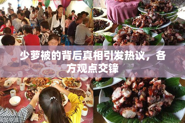 少萝被的背后真相引发热议，各方观点交锋