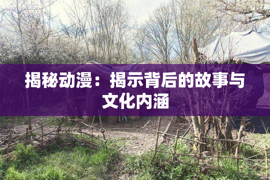 揭秘动漫：揭示背后的故事与文化内涵